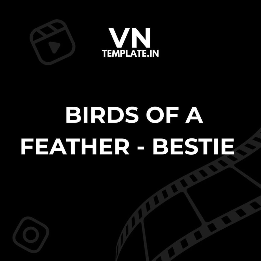 Birds of a Feather